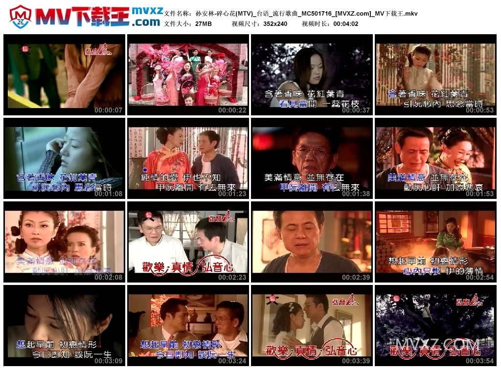 孙安林-碎心花(MTV)_台语_流行歌曲_MC501716